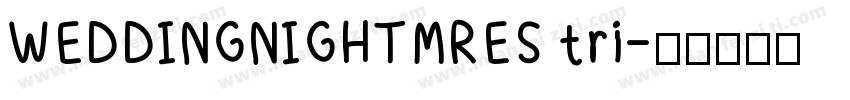 WEDDINGNIGHTMRES tri字体转换